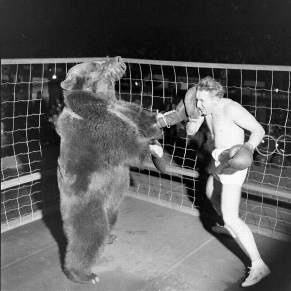 daily picdump 95 pics 1.html - 95 HD Photos | Premium Gallery 2012