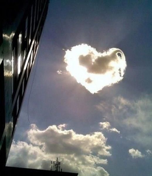 daily picdump 95 pics 1.html - 95 HD Photos | Premium Gallery 2012