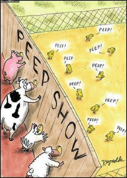 Morning Picdump