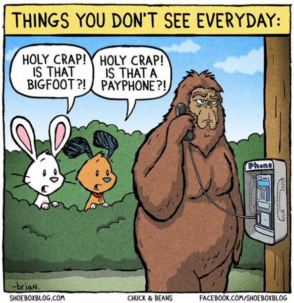 morning picdump 54 pics 1.html - 54 HD Photos | Premium Gallery 2012