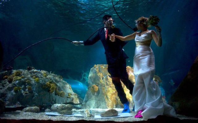morning picdump 54 pics 1.html - 54 HD Photos | Premium Gallery 2012
