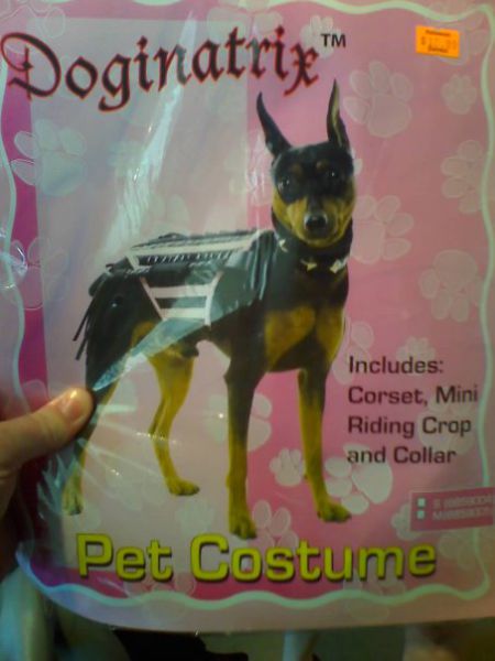 morning picdump 59 pics 24.html - 59 HD Photos | Premium Gallery 2012