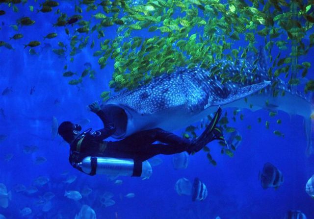 daily picdump 111 pics 46.html - 111 HD Photos | Premium Gallery 2012