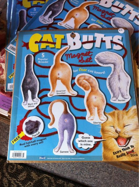 daily picdump 111 pics 46.html - 111 HD Photos | Premium Gallery 2012