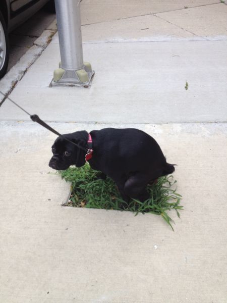 daily picdump 111 pics 46.html - 111 HD Photos | Premium Gallery 2012