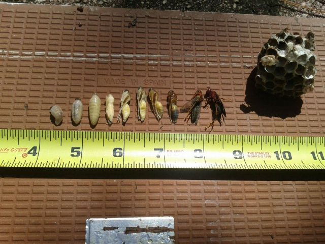 daily picdump 111 pics 46.html - 111 HD Photos | Premium Gallery 2012