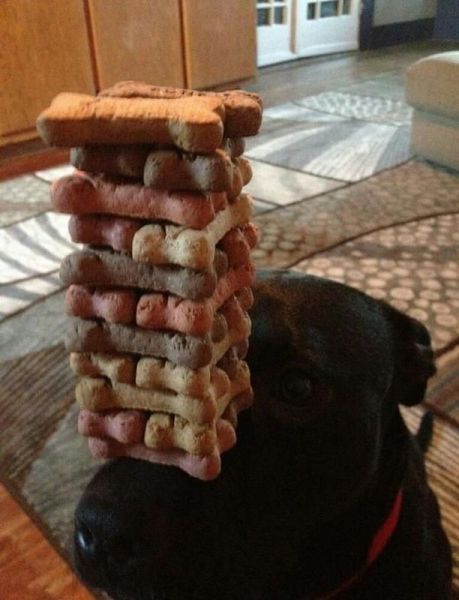 daily picdump 111 pics 46.html - 111 HD Photos | Premium Gallery 2012