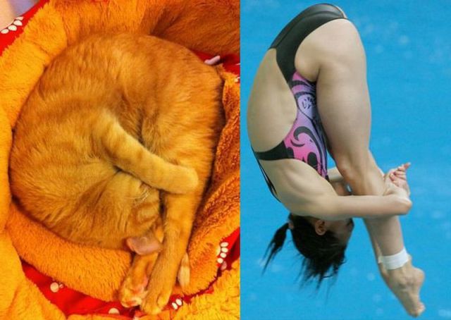 daily picdump 111 pics 46.html - 111 HD Photos | Premium Gallery 2012