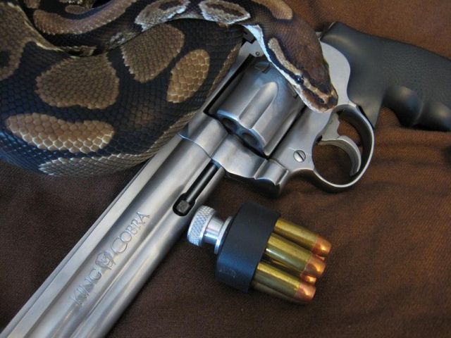 morning picdump 59 pics 12.html - 59 HD Photos | Premium Gallery 2012