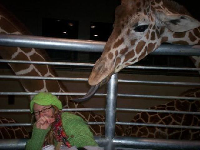 daily picdump 99 pics 3.html - 99 HD Photos | Premium Gallery 2012