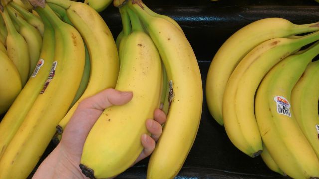 daily picdump 99 pics 3.html - 99 HD Photos | Premium Gallery 2012