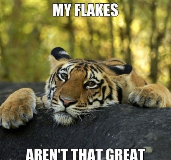 Captions That Will Make You Laugh. Part 3