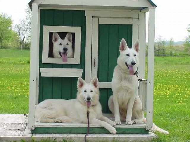 morning picdump 55 pics 1.html - 55 HD Photos | Premium Gallery 2012