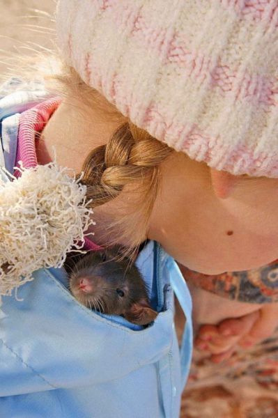 morning picdump 55 pics 1.html - 55 HD Photos | Premium Gallery 2012