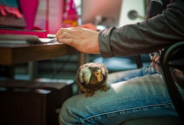 morning picdump 55 pics 1.html - 55 HD Photos | Premium Gallery 2012