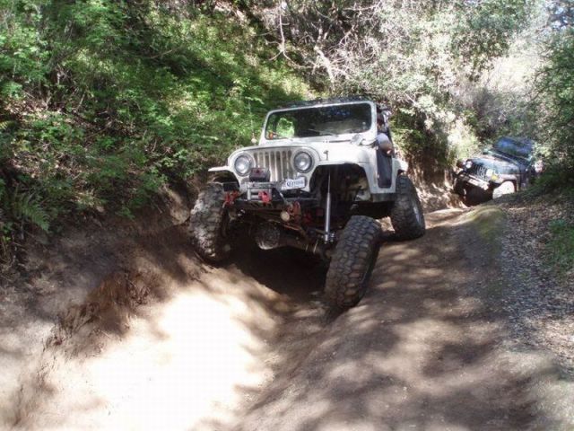 morning picdump 55 pics 1.html - 55 HD Photos | Premium Gallery 2012