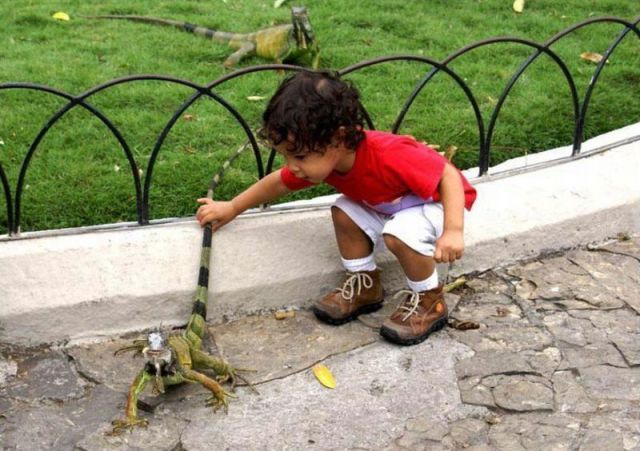 morning picdump 55 pics 1.html - 55 HD Photos | Premium Gallery 2012