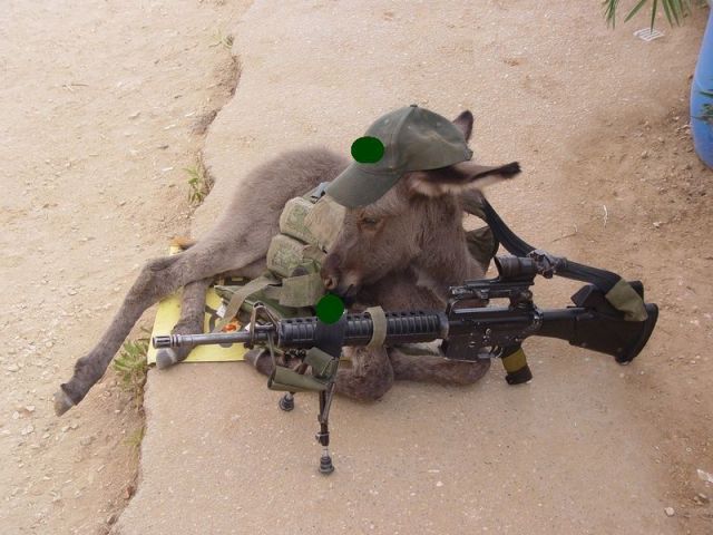 morning picdump 55 pics 1.html - 55 HD Photos | Premium Gallery 2012