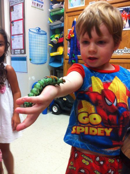 morning picdump 57 pics 14.html - 57 HD Photos | Premium Gallery 2012