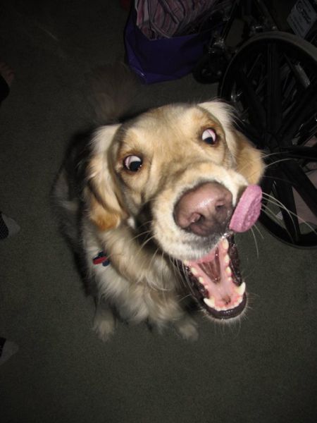 daily picdump 104 pics 52.html - 104 HD Photos | Premium Gallery 2012