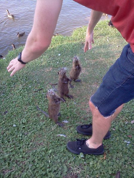 daily picdump 104 pics 52.html - 104 HD Photos | Premium Gallery 2012