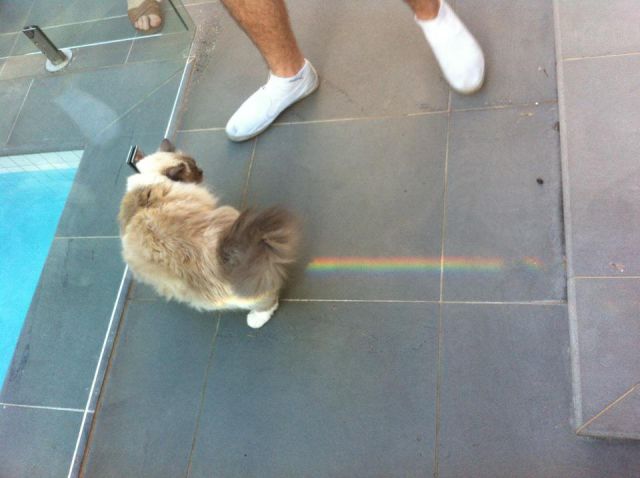 daily picdump 104 pics 52.html - 104 HD Photos | Premium Gallery 2012