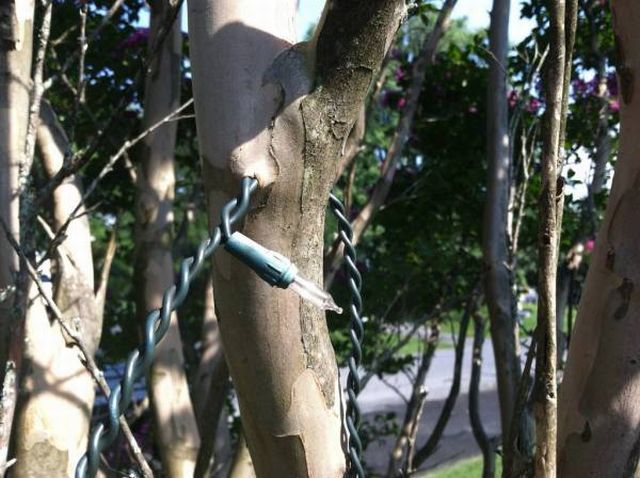 daily picdump 104 pics 52.html - 104 HD Photos | Premium Gallery 2012