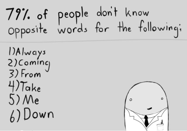 Funny and Wise Quotes