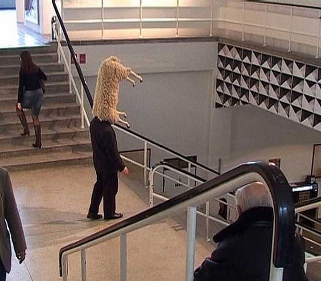 daily picdump 99 pics 39.html - 99 HD Photos | Premium Gallery 2012