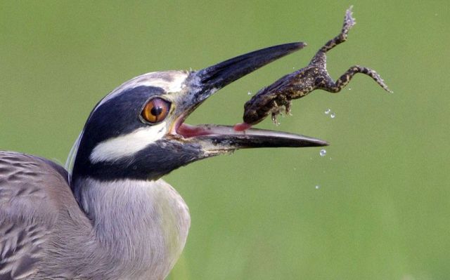 daily picdump 99 pics 39.html - 99 HD Photos | Premium Gallery 2012