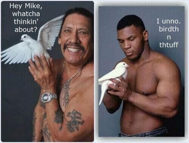 daily picdump 99 pics 39.html - 99 HD Photos | Premium Gallery 2012