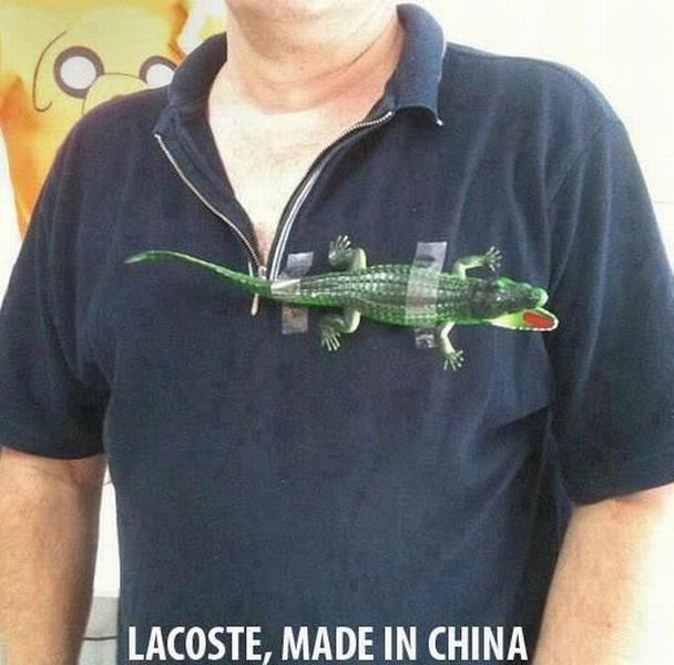 daily picdump 99 pics 39.html - 99 HD Photos | Premium Gallery 2012