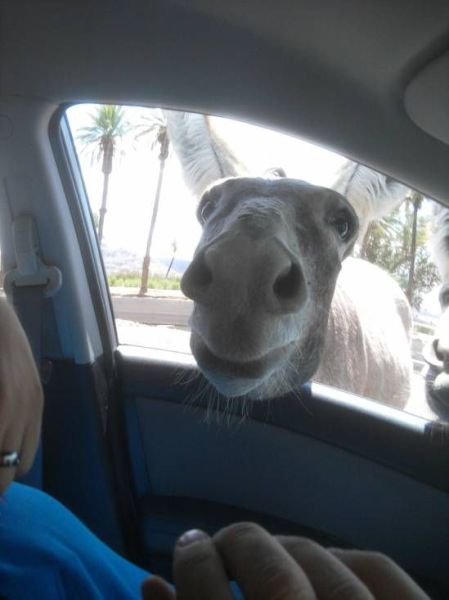 daily picdump 99 pics 39.html - 99 HD Photos | Premium Gallery 2012