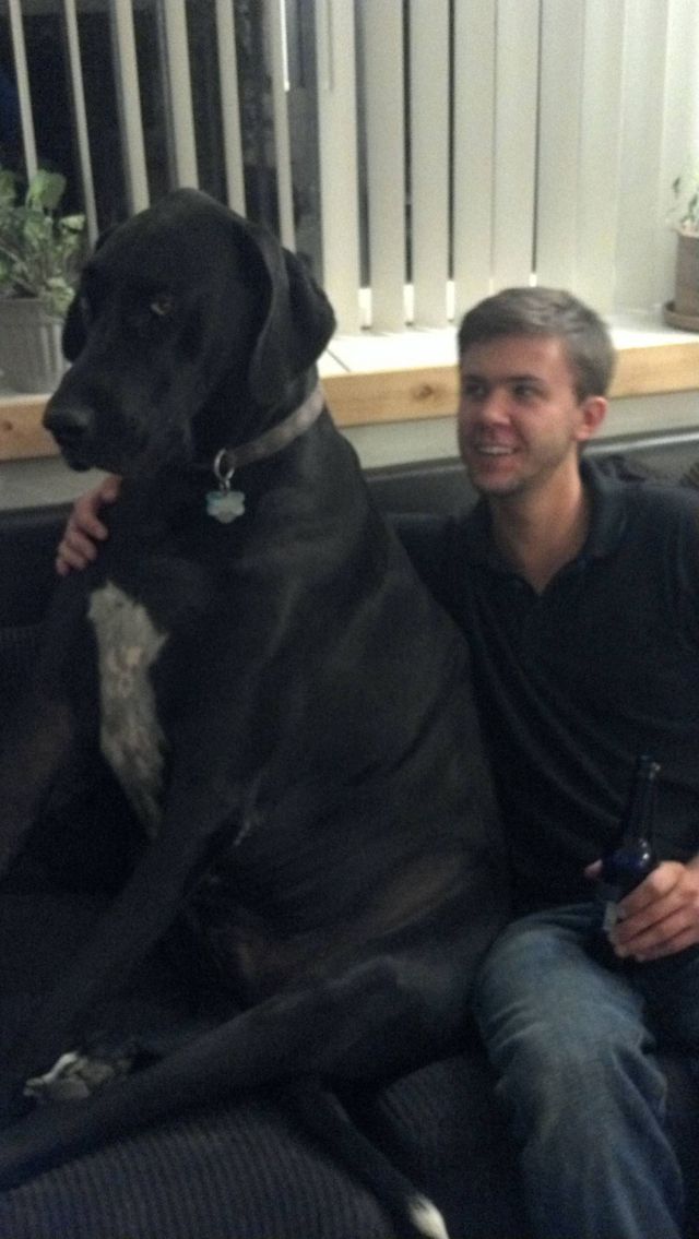 daily picdump 99 pics 39.html - 99 HD Photos | Premium Gallery 2012