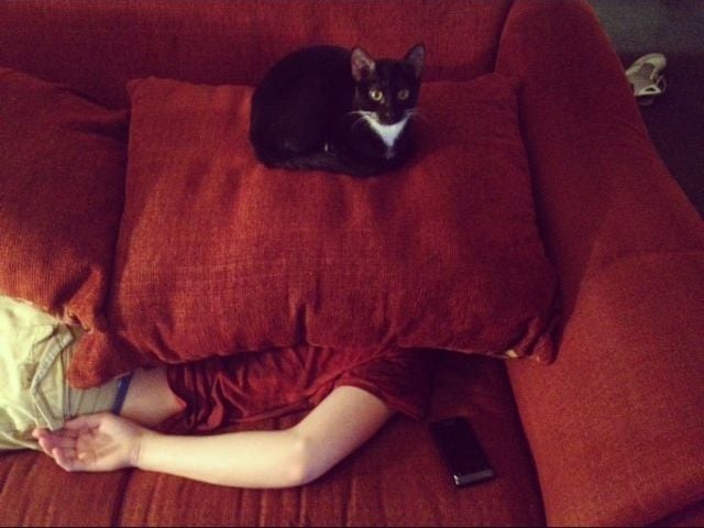 morning picdump 60 pics 29.html - 60 HD Photos | Premium Gallery 2012