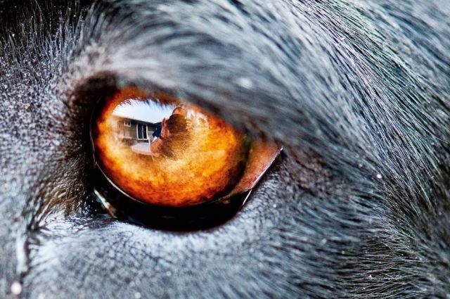 morning picdump 60 pics 29.html - 60 HD Photos | Premium Gallery 2012