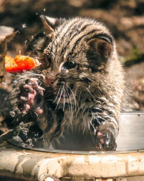 morning picdump 54 pics 6.html - 54 HD Photos | Premium Gallery 2012