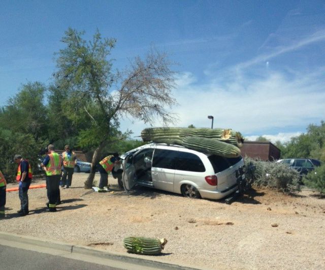 morning picdump 54 pics 6.html - 54 HD Photos | Premium Gallery 2012