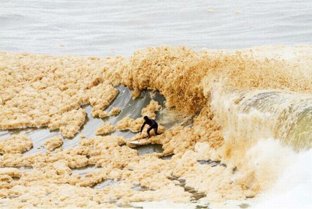 daily picdump 114 pics 38.html - 114 HD Photos | Premium Gallery 2012