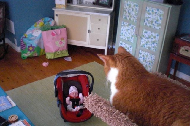 daily picdump 114 pics 38.html - 114 HD Photos | Premium Gallery 2012