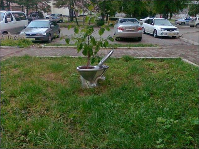 daily picdump 114 pics 38.html - 114 HD Photos | Premium Gallery 2012