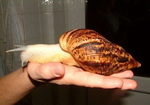 daily picdump 114 pics 38.html - 114 HD Photos | Premium Gallery 2012