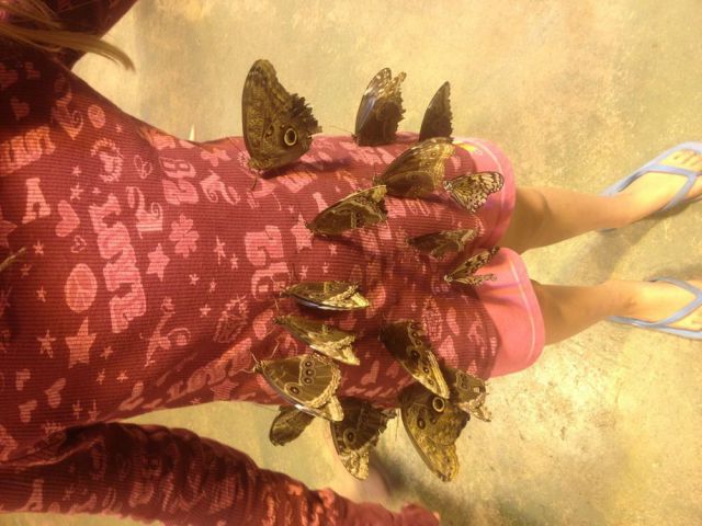 daily picdump 114 pics 38.html - 114 HD Photos | Premium Gallery 2012