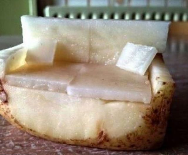 morning picdump 58 pics 29.html - 58 HD Photos | Premium Gallery 2012