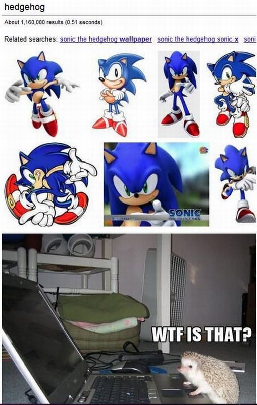 morning picdump 58 pics 29.html - 58 HD Photos | Premium Gallery 2012