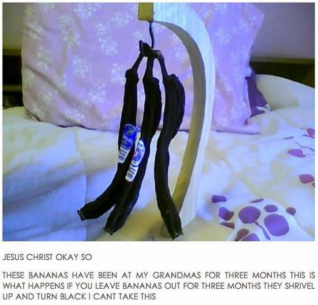 morning picdump 62 pics 3.html - 62 HD Photos | Premium Gallery 2012