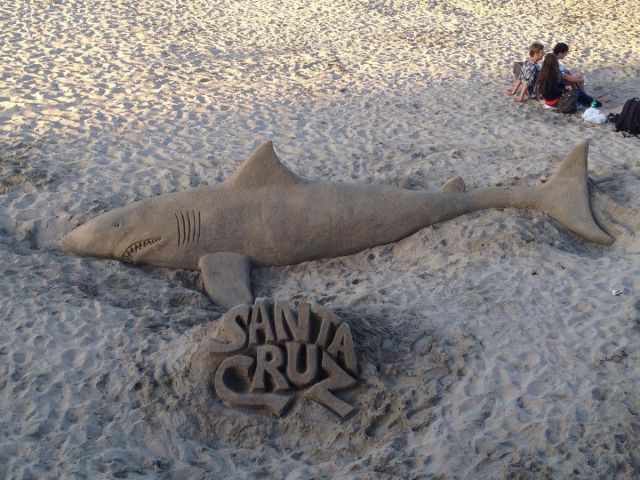 morning picdump 62 pics 3.html - 62 HD Photos | Premium Gallery 2012