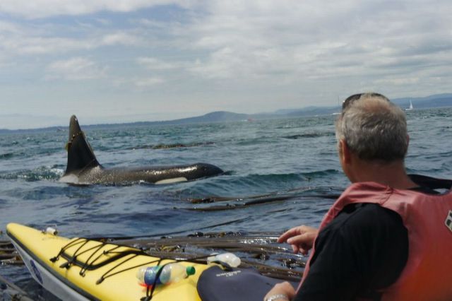 morning picdump 62 pics 3.html - 62 HD Photos | Premium Gallery 2012