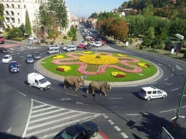 morning picdump 62 pics 3.html - 62 HD Photos | Premium Gallery 2012