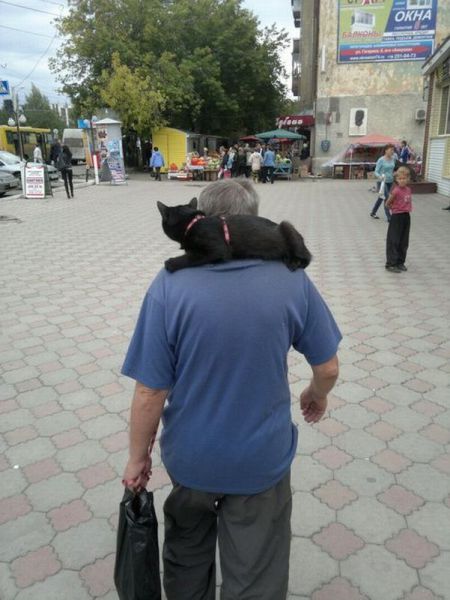 morning picdump 62 pics 3.html - 62 HD Photos | Premium Gallery 2012